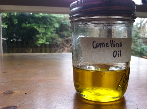 camelina oil